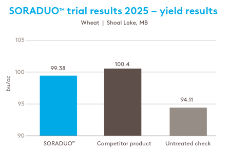 Webpage-Charts-Web-Graphic-SORADUO-Chart