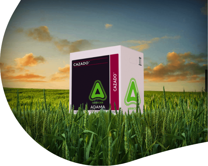 Cazado Product Box