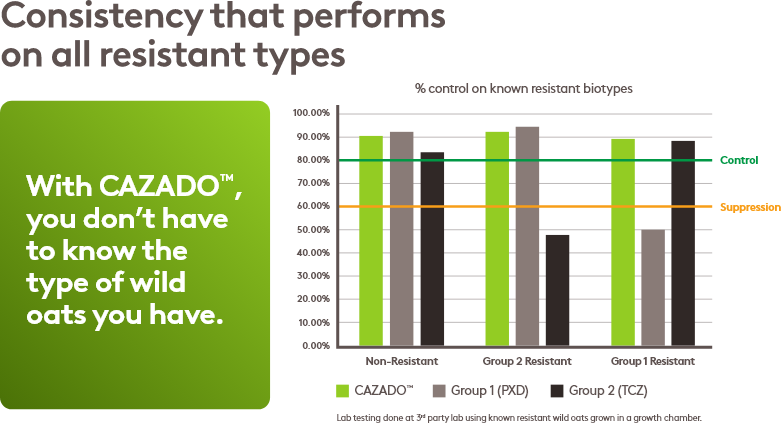 Consistency that performs chart