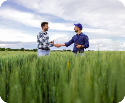 Farmers in field