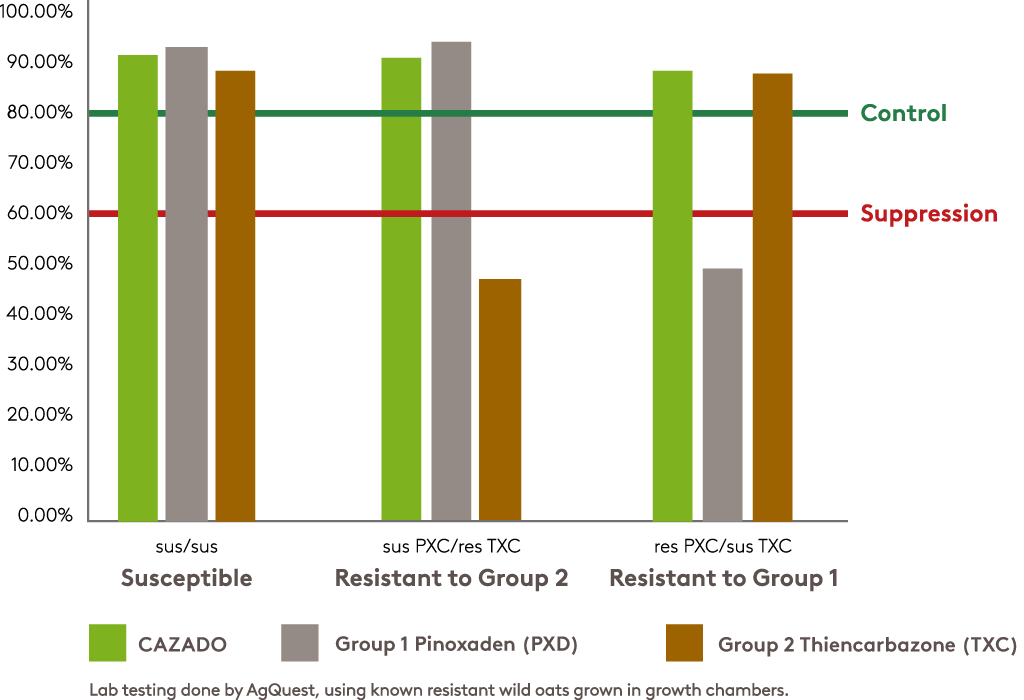 % of control on wild oat populations with confirmed resistance