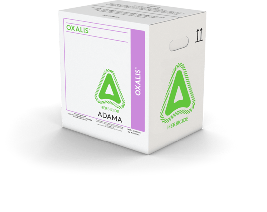 OXALIS Product Image