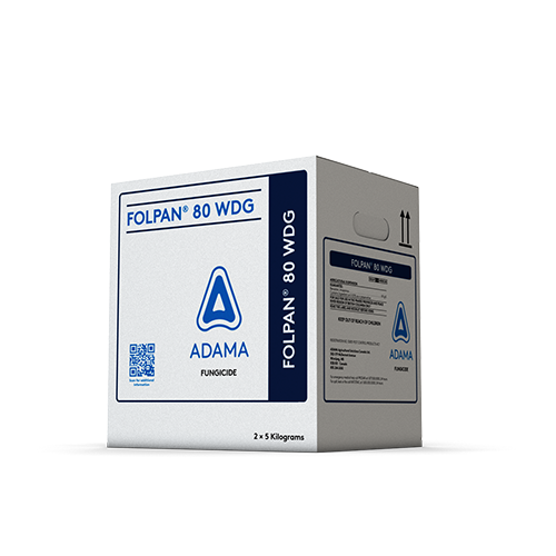 FOLPAN-80-WDG-Box-Low-Angle-LoRes