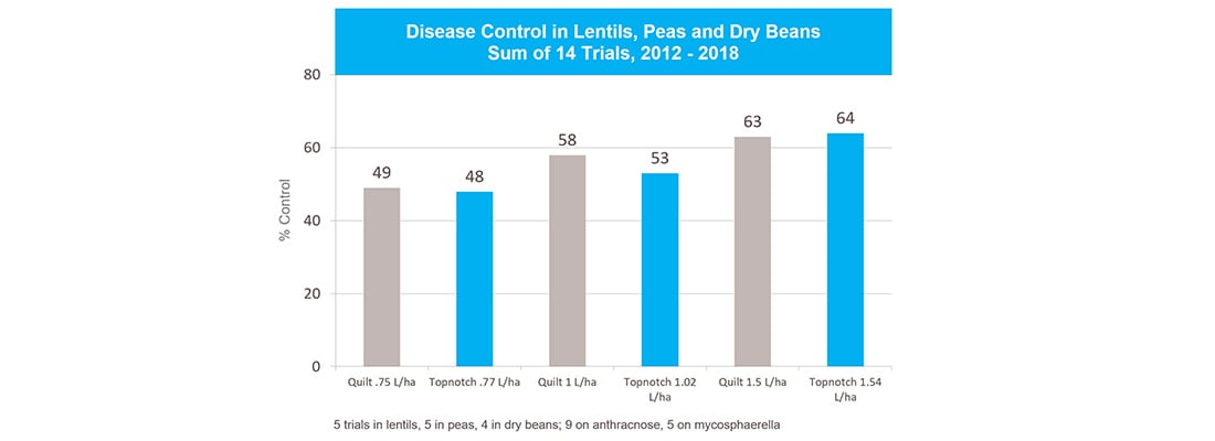 Disease Control in Lentils, Peas and Dry Beans
