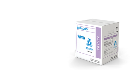 Web-Graphics-ADAMA-Product-SORADUO-500x300