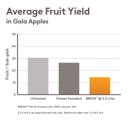 Average Fruit Yield in Gala Apples Chart