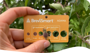 BreviSmart™ graphic