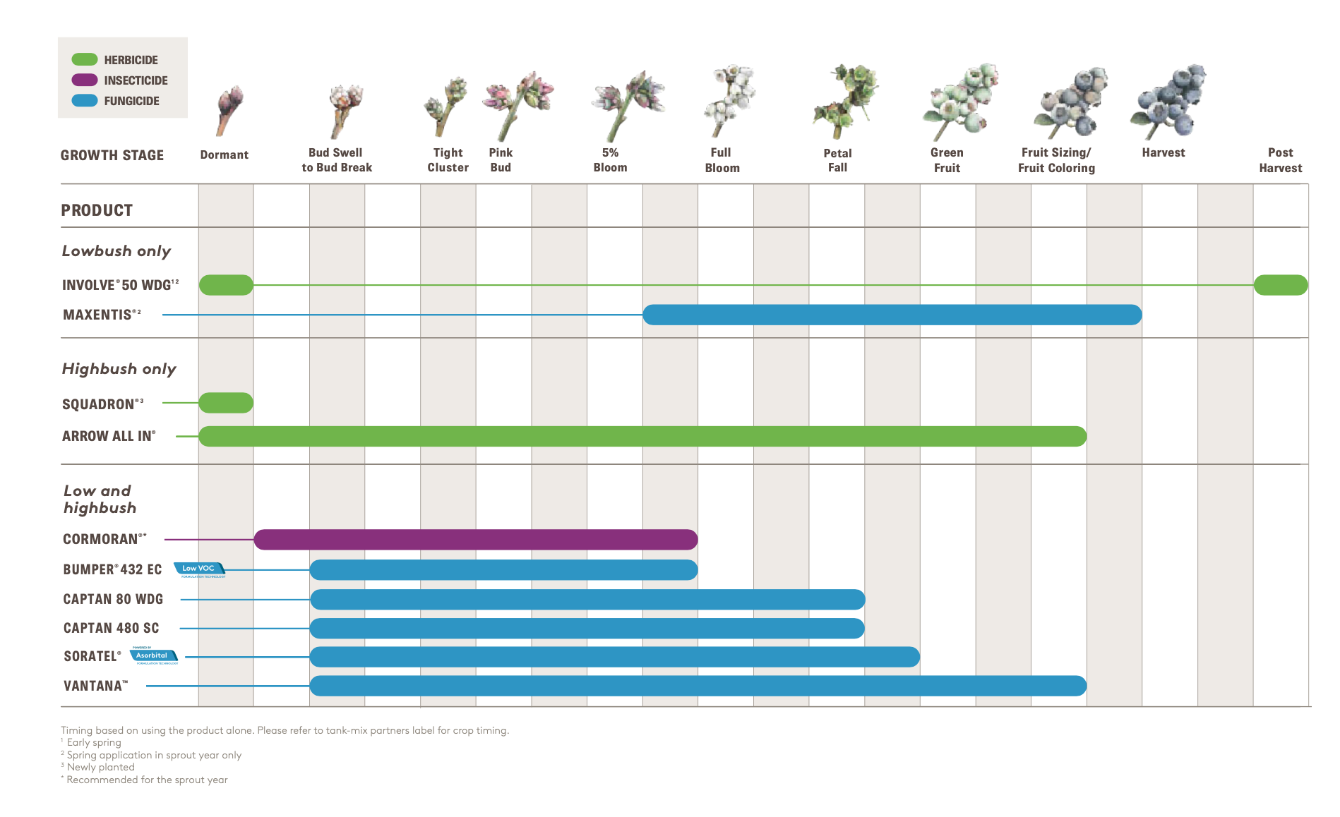 ADAMA all in on blueberries growth stages chart