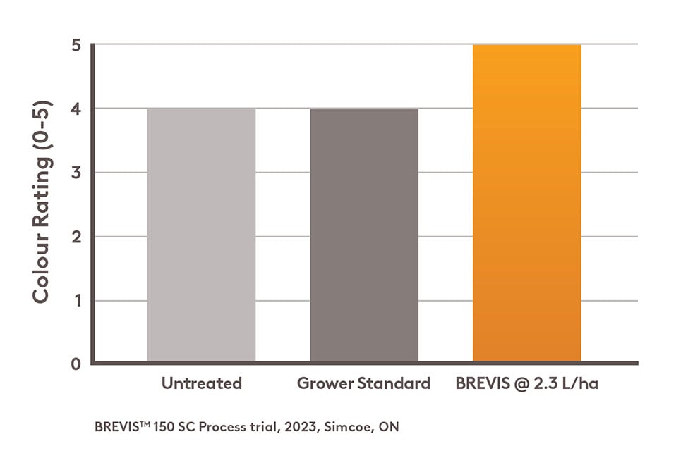 Bar chart showing average colour rating of Gala apples: Untreated at 4, Grower Standard at 4, and BREVIS at 2.3 L/ha at 5, based on a 2023 Simcoe, ON trial.
