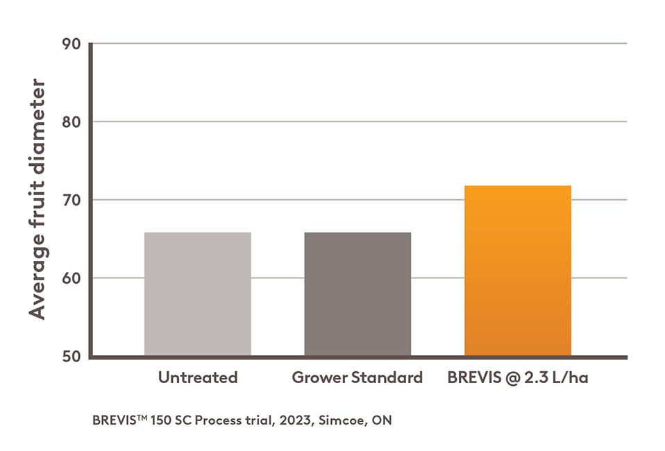 Bar chart showing average fruit diameter of Gala apples: Untreated at 65, Grower Standard at 65, and BREVIS at 2.3 L/ha at 72, based on a 2023 Simcoe, ON trial.
