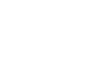 dandelion icon