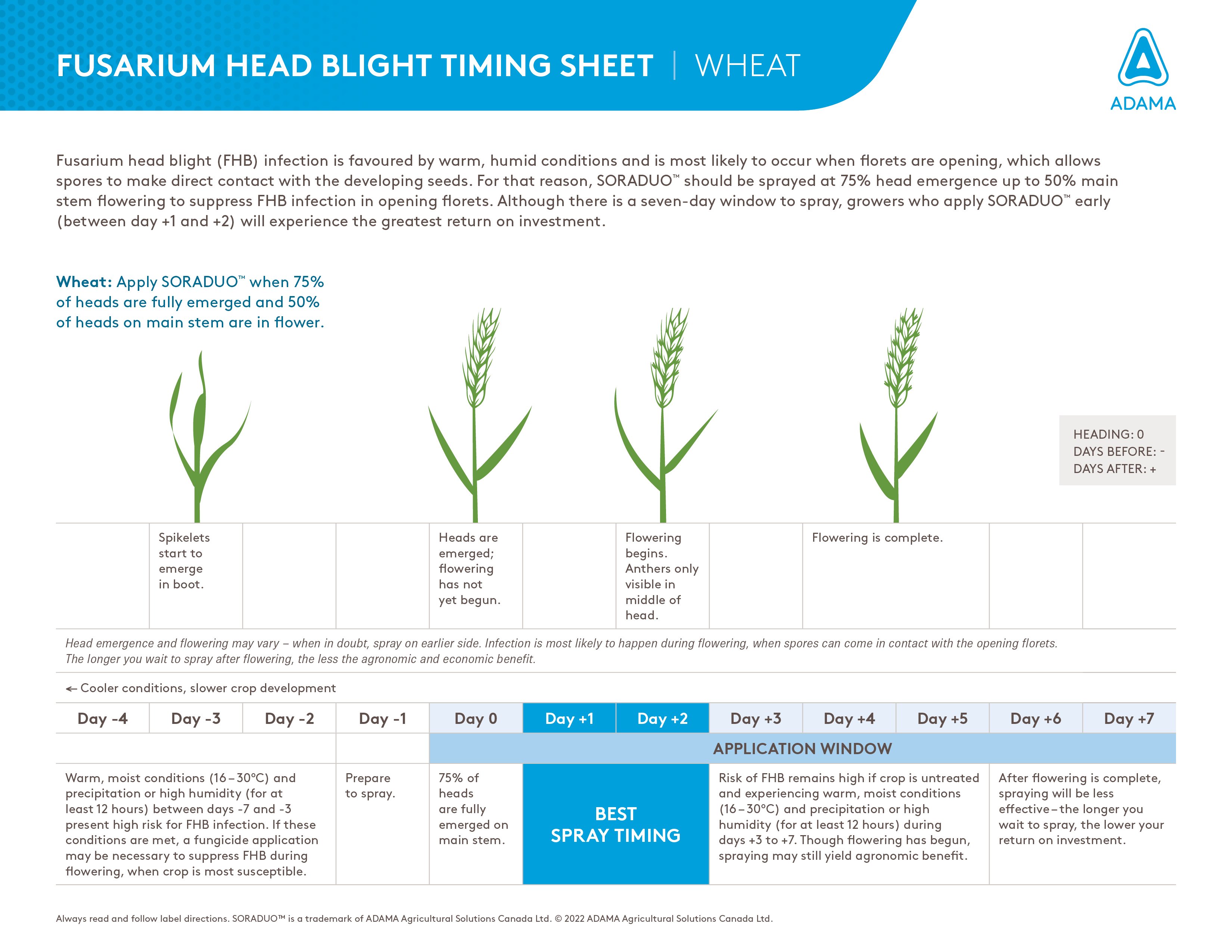 Fight fusarium head blight chart