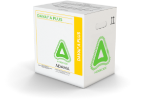 DAVAI A PLUS